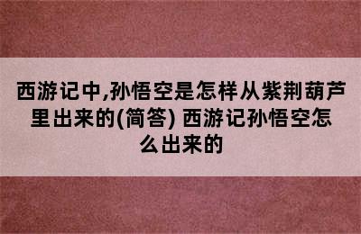 西游记中,孙悟空是怎样从紫荆葫芦里出来的(简答) 西游记孙悟空怎么出来的